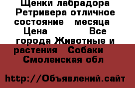 Щенки лабрадора Ретривера отличное состояние 2 месяца › Цена ­ 30 000 - Все города Животные и растения » Собаки   . Смоленская обл.